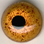Tohickon - OFF WIRE GLASS SHORE BIRD EYES