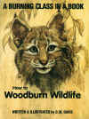 Wood Burning