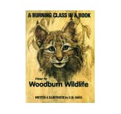 Books on Wood Burning