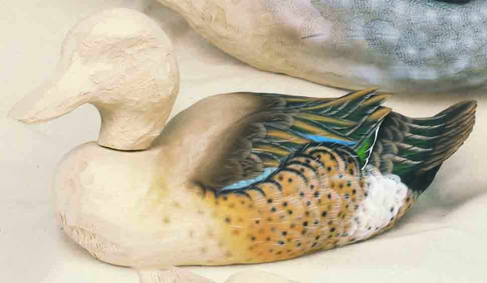Jeffrey Moores Teal size Ducks