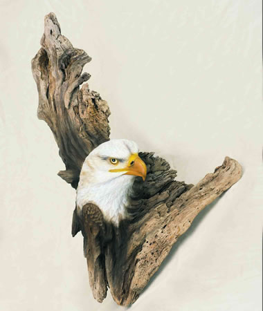 Jeffrey Moores Birds of Prey