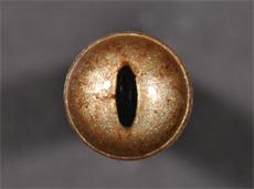 Tohickon - Shark GLASS Eyes