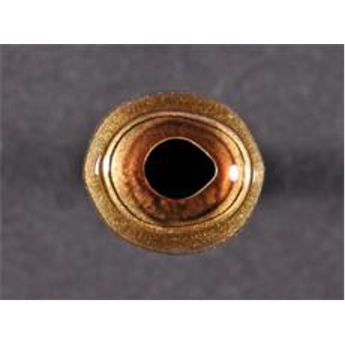 Muskie / Redfish  150 Series Oval 16mm