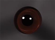 ON WIRE EYES Tohickon #115 DK. BROWN