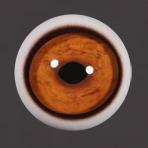 Tohickon - MAMMAL GLASS EYES