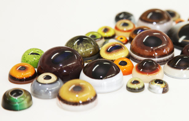EYES Tohickon Glass EYES