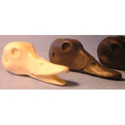 Study Bird Heads Ducks by Tony Finazzo