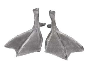 Waterfowl Cast Feet, Pair