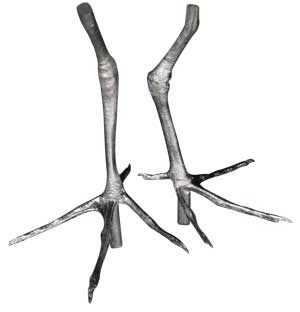 Shore Birds Cast Feet, Pair